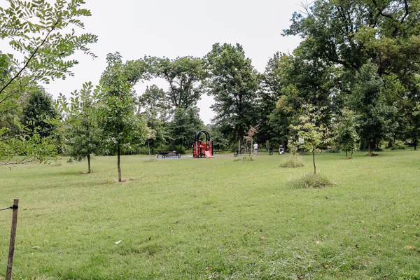 Tarleton Park Off Leash Area photo 2